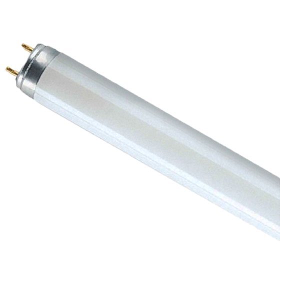 купить Лампа люминесцентная G13 Osram Basic L36W/765 (54) 1200мм                                            с доставкой