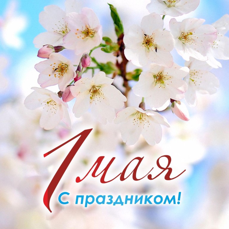 Режим работы в праздничные дни магазина-склада на Васильева, 3 "Б"