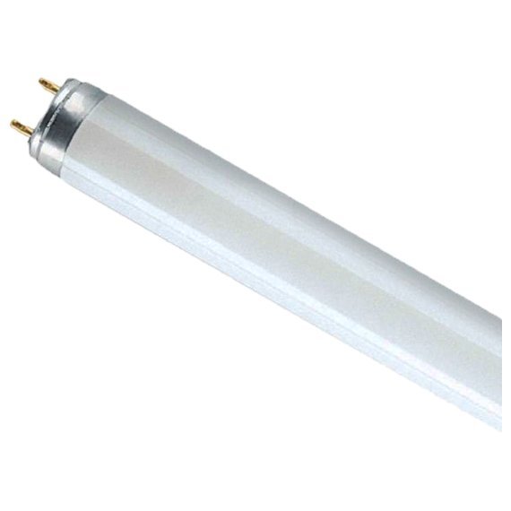 купить Лампа люминесцентная G13 Osram Basic L18W/765 (54) 600мм (Смоленск)                                  с доставкой