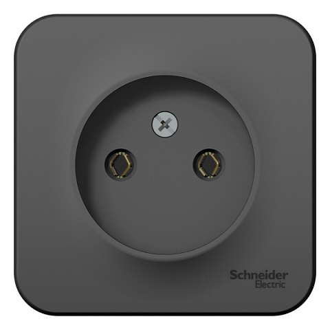 купить Розетка накладная Schneider Electric Blanca 1-OП антрацит, без заземления BLNRA000116 с доставкой