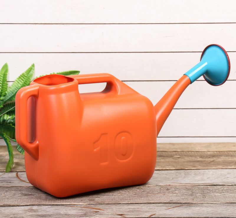 купить Лейка огородная пластмассовая 10л с доставкой